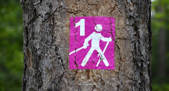 Nordic Walking- sport idealny
